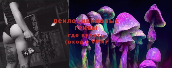 а пвп мука Балабаново