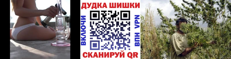 где продают кракен онион Шишки марихуана сатива Болгар